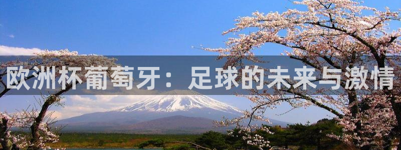 世界杯对阵表：欧洲杯葡萄牙：足球的未来与激情