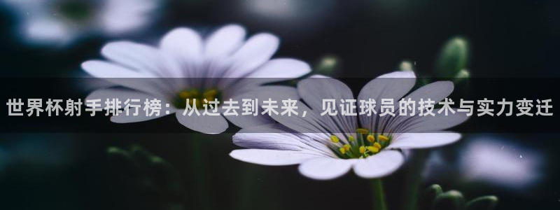 2026世界杯小组赛赛程时间表:世界杯射手排行榜:从过去到未来,见证球员的技术与实力变迁