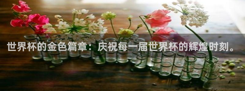 世预赛欧洲赛程表:世界杯的金色篇章:庆祝每一届世界杯的辉煌时刻。