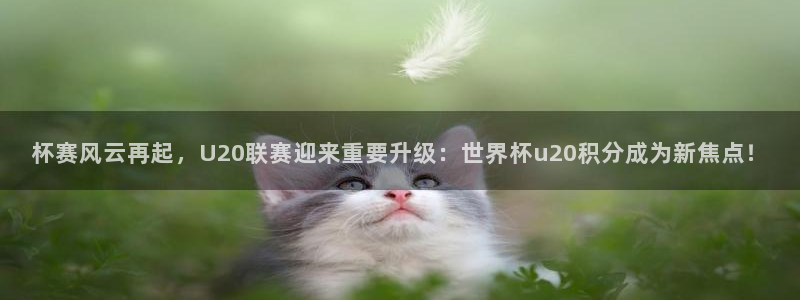 世界杯比赛时间:杯赛风云再起,U20联赛迎来重要升级:世界杯u20积分成为新焦点!