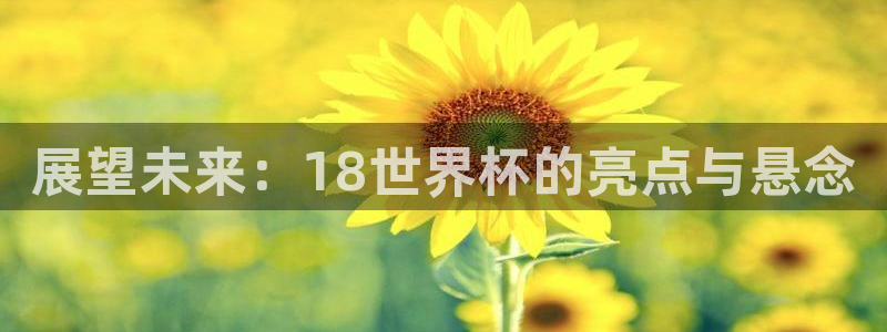 世界杯比赛直播：展望未来：18世界杯的亮点与悬念