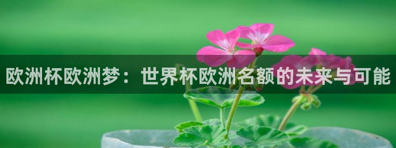 今天所有足球赛程表：欧洲杯欧洲梦：世界杯欧洲名额的未来与可能