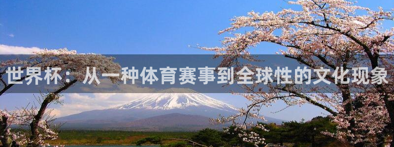 2026足球世界杯赛程时间表：世界杯：从一种体育赛事到全球性的文化现象