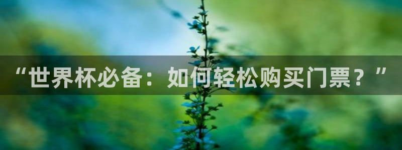 世界杯欧洲区预选赛赛程：“世界杯必备：如何轻松购买门票？”