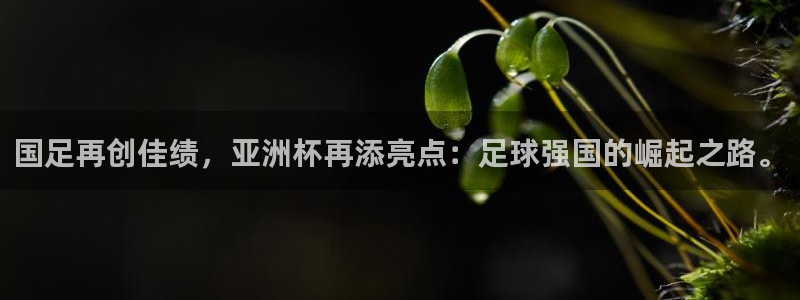 世界杯对阵图2026：国足再创佳绩，亚洲杯再添亮点：足球强国的崛起之路。
