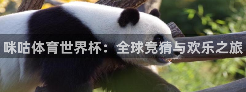 世界杯球队：咪咕体育世界杯：全球竞猜与欢乐之旅